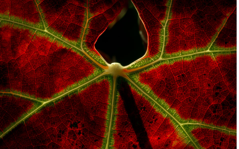 Illustration for article titled The Stunning Results of Our 100th Shooting Challenge